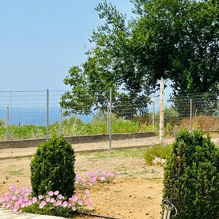 Margarita * Kyparissia