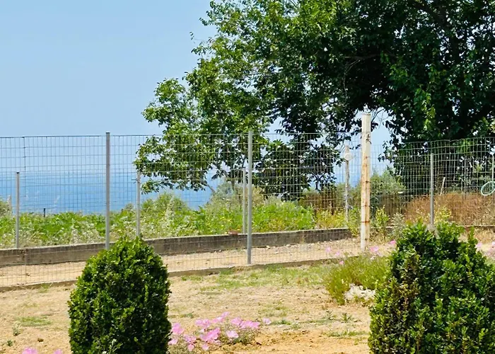 Margarita * Κυπαρισσία